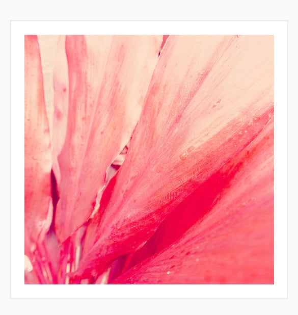 Some Like It Pink