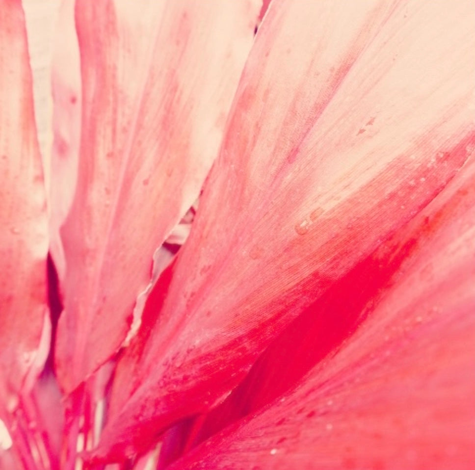 Some Like It Pink