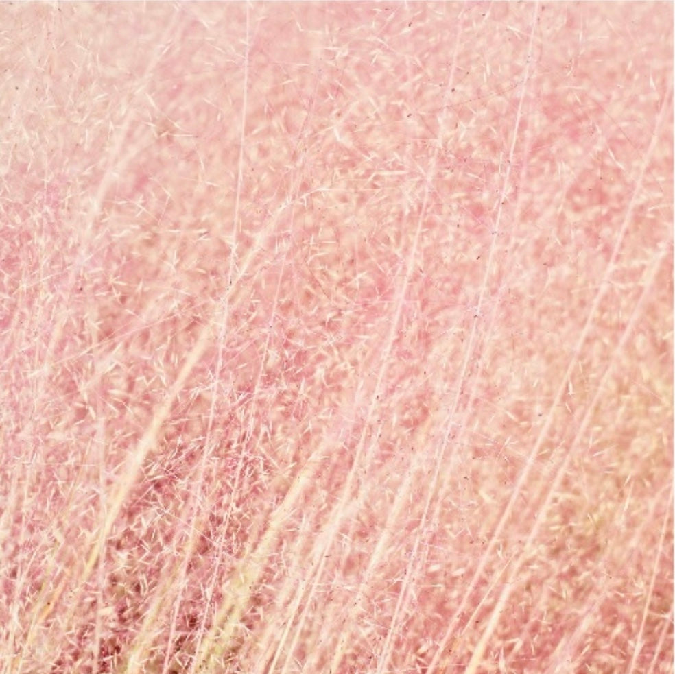 Pink Fluff