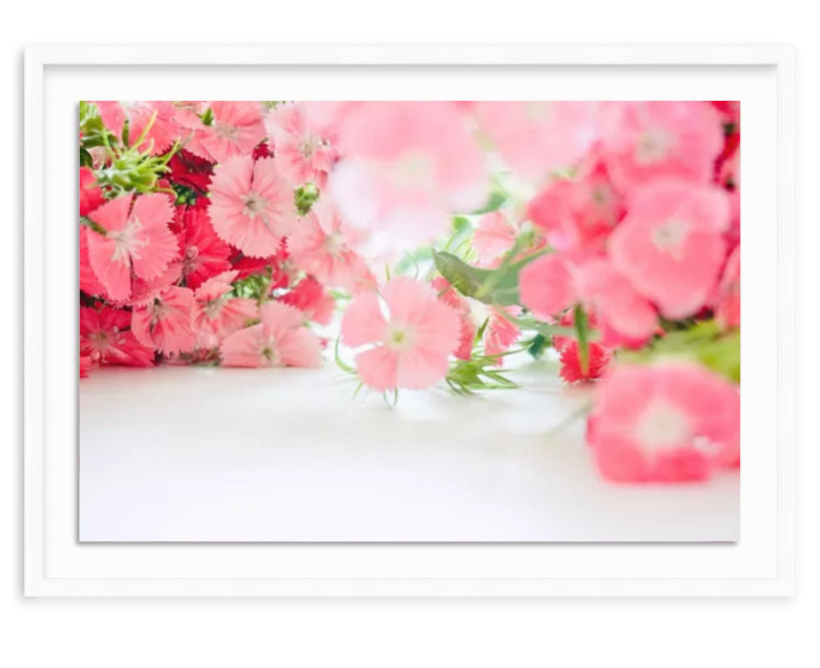 Abundance