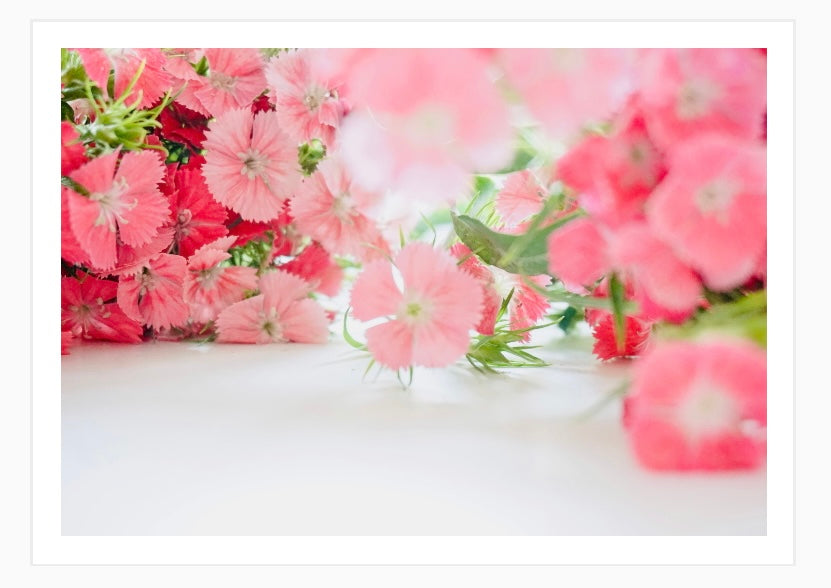 Abundance
