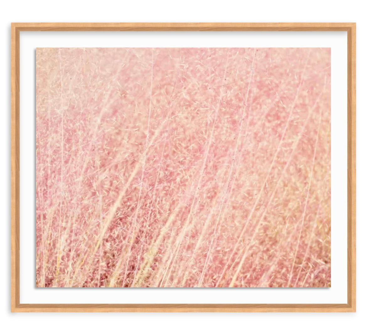 Pink Fluff