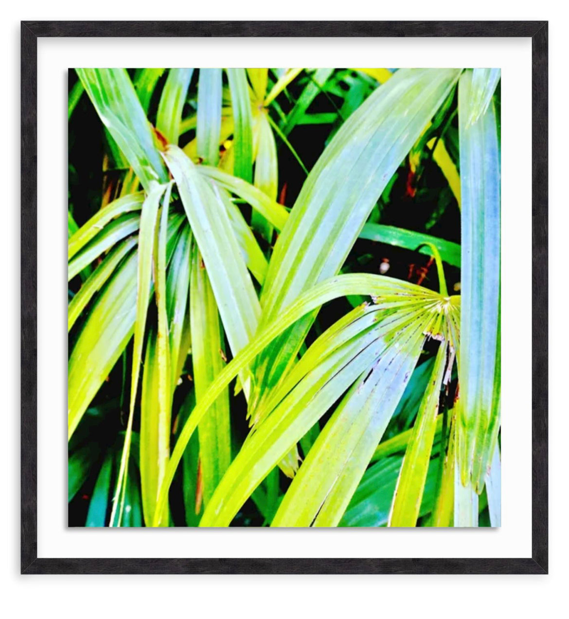 Tropic
