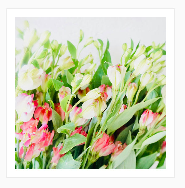 Fading Bright