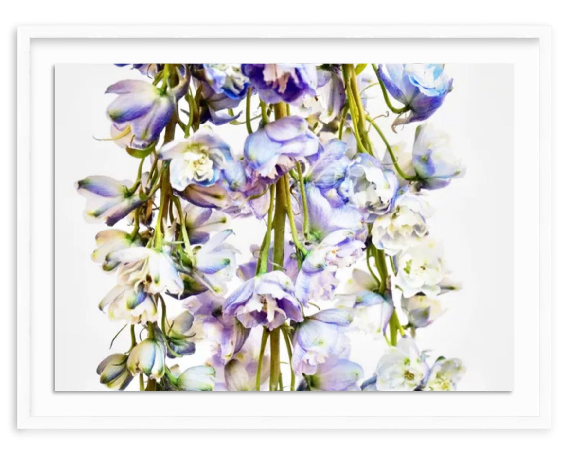 Flower Shower