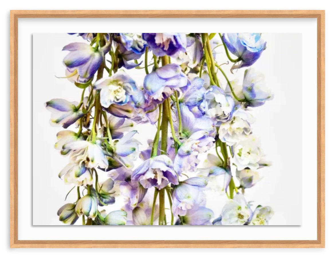 Flower Shower