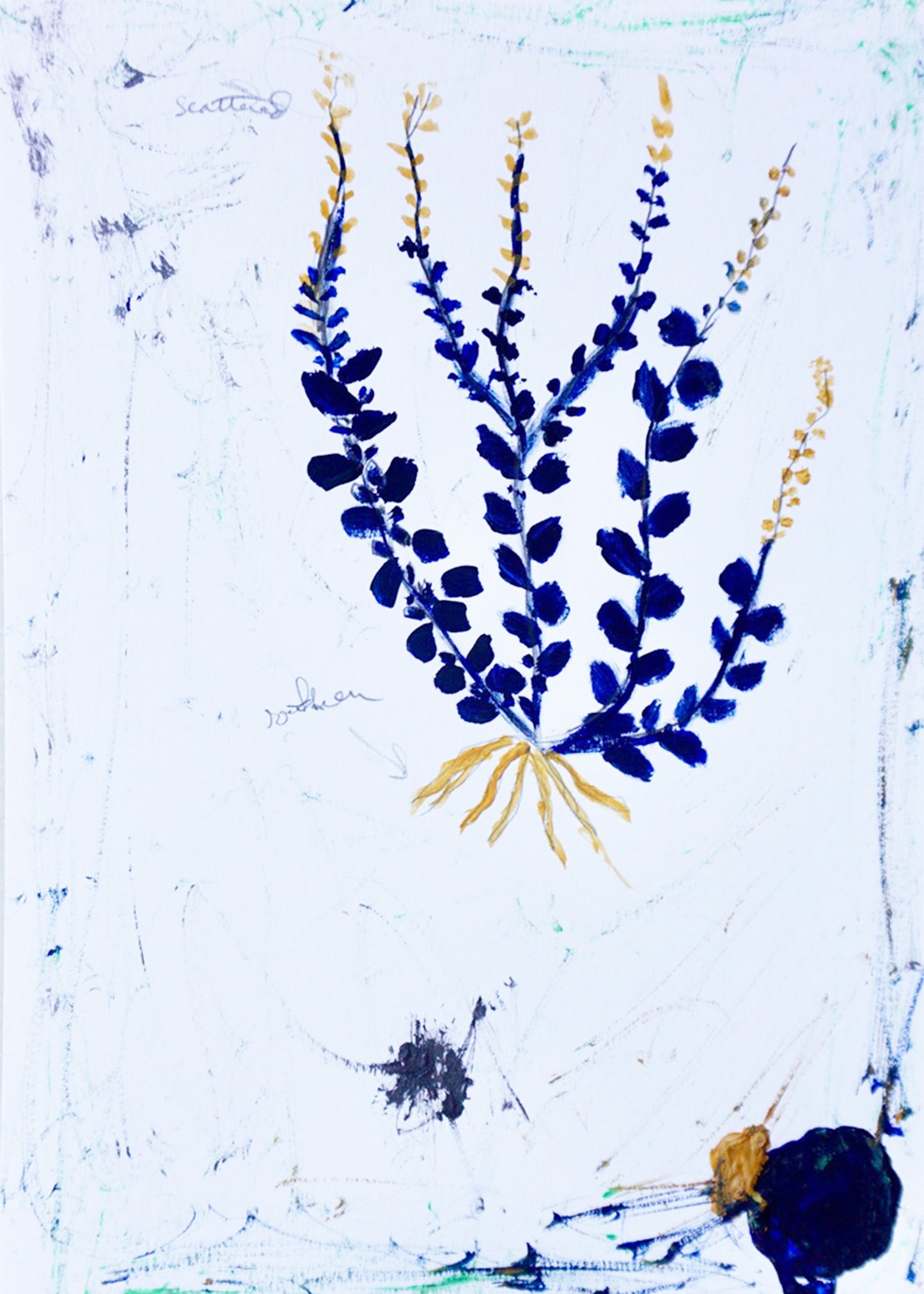 Indigo