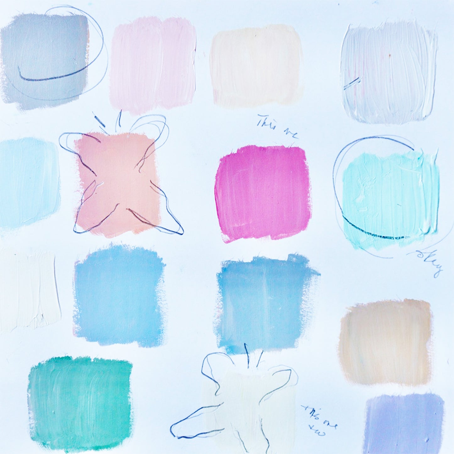 Fly Color