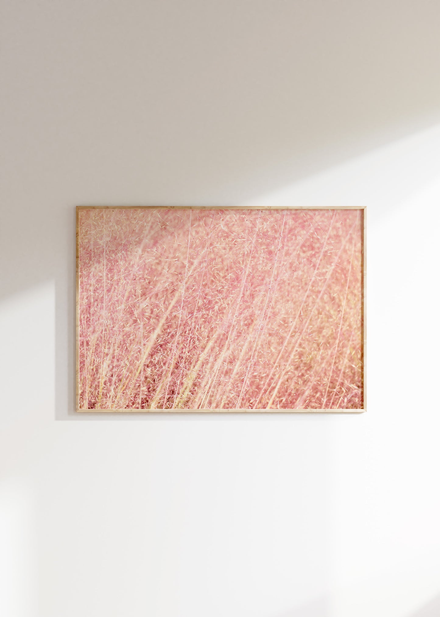 Pink Fluff