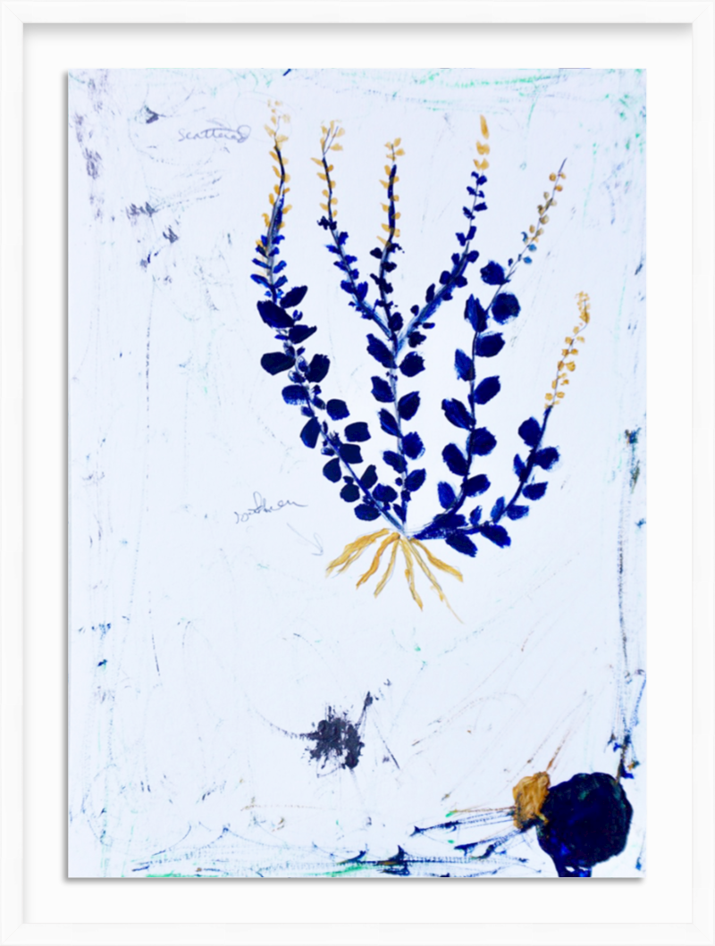Indigo