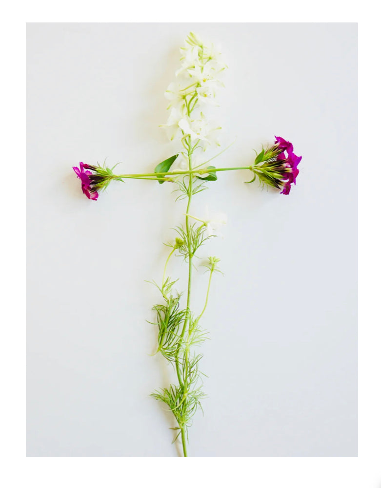 Christ Centered