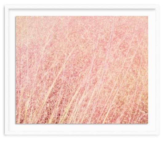 Pink Fluff