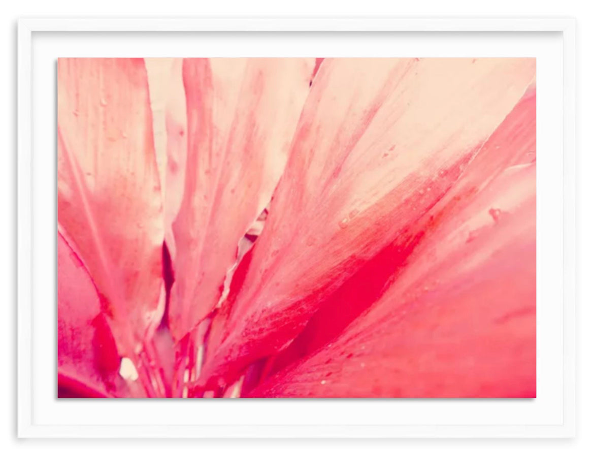 Some Like It Pink