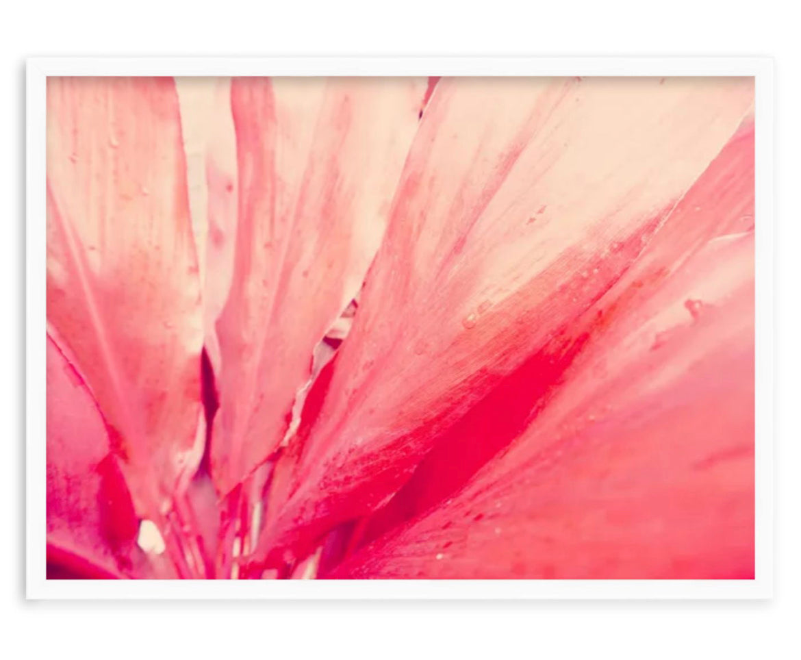 Some Like It Pink