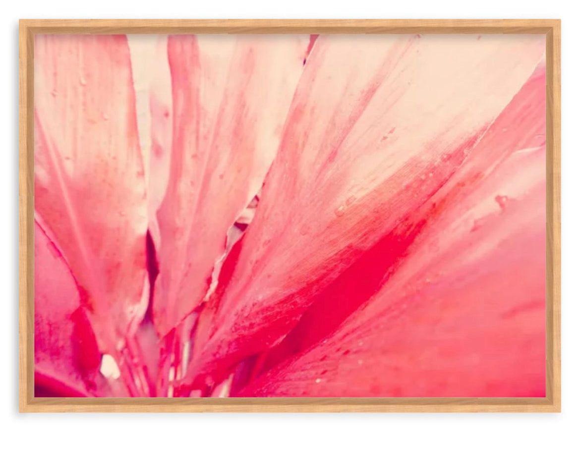 Some Like It Pink