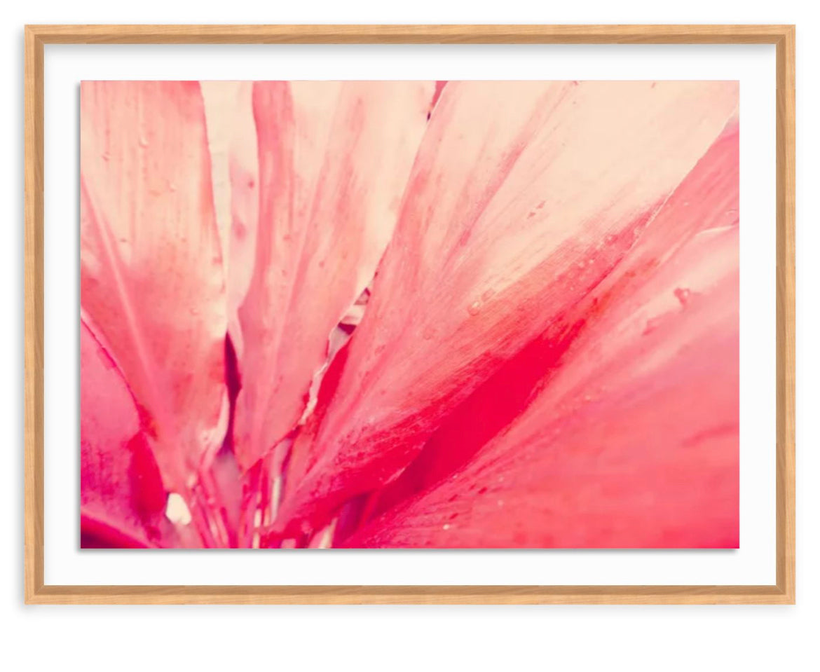 Some Like It Pink