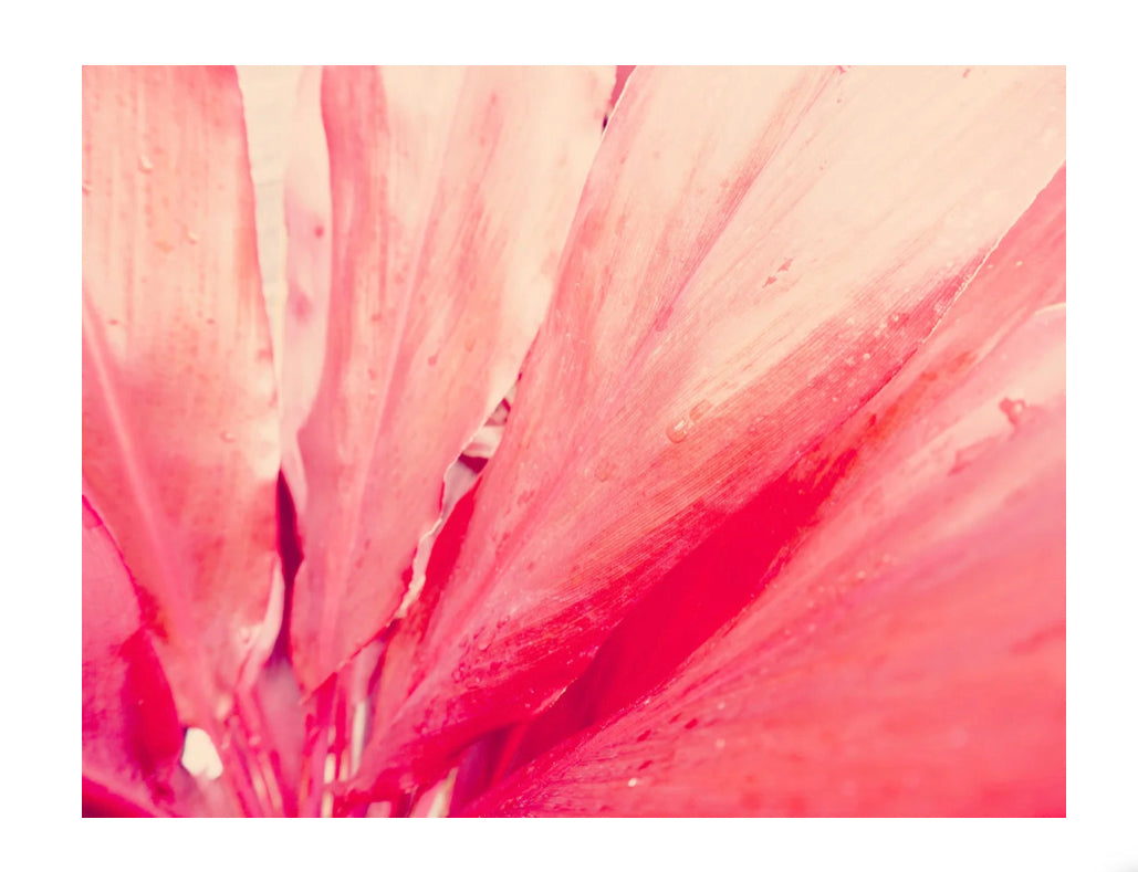 Some Like It Pink