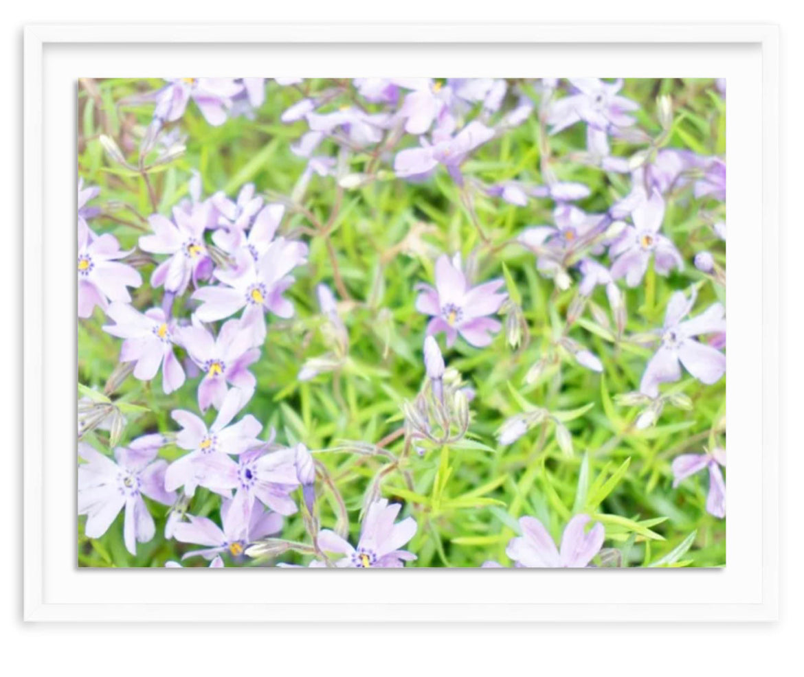 There's Always Purple
