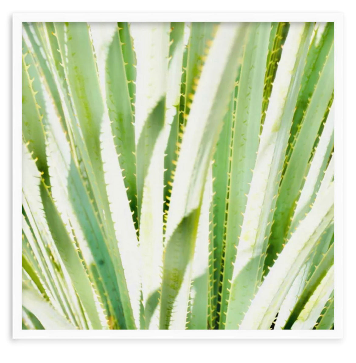 Spikes