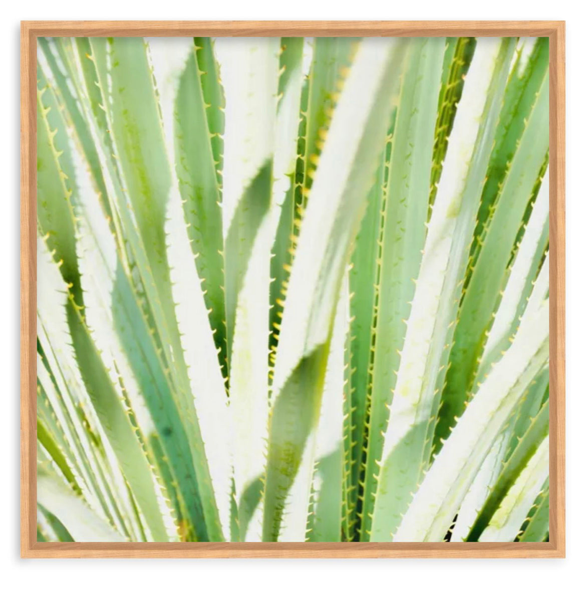 Spikes