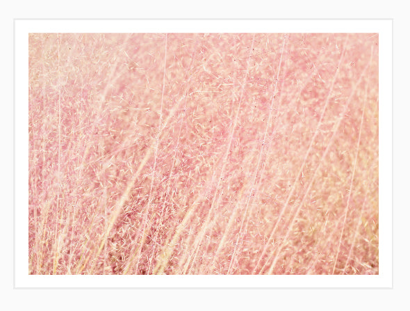 Pink Fluff