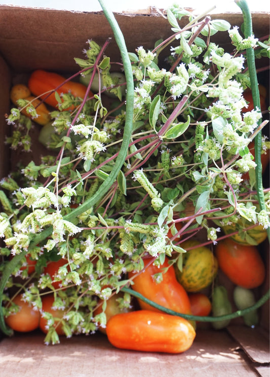 June Harvest