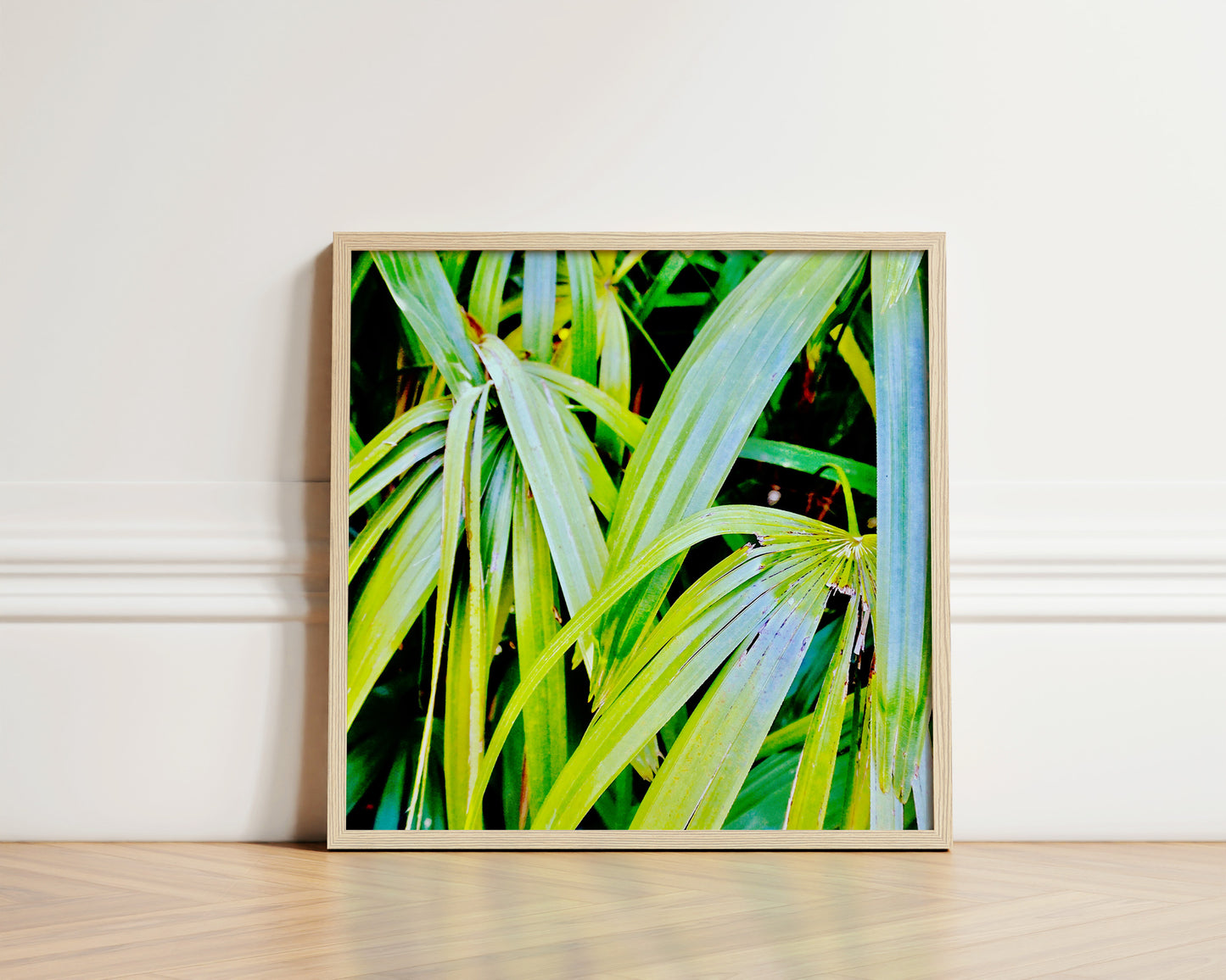 Tropic
